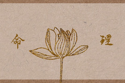 择吉黄历每日宜忌,择吉日老黄历,择日择吉宜忌大全